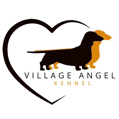 SITE-Logotipo-Canil-Village-Angel Site Logo